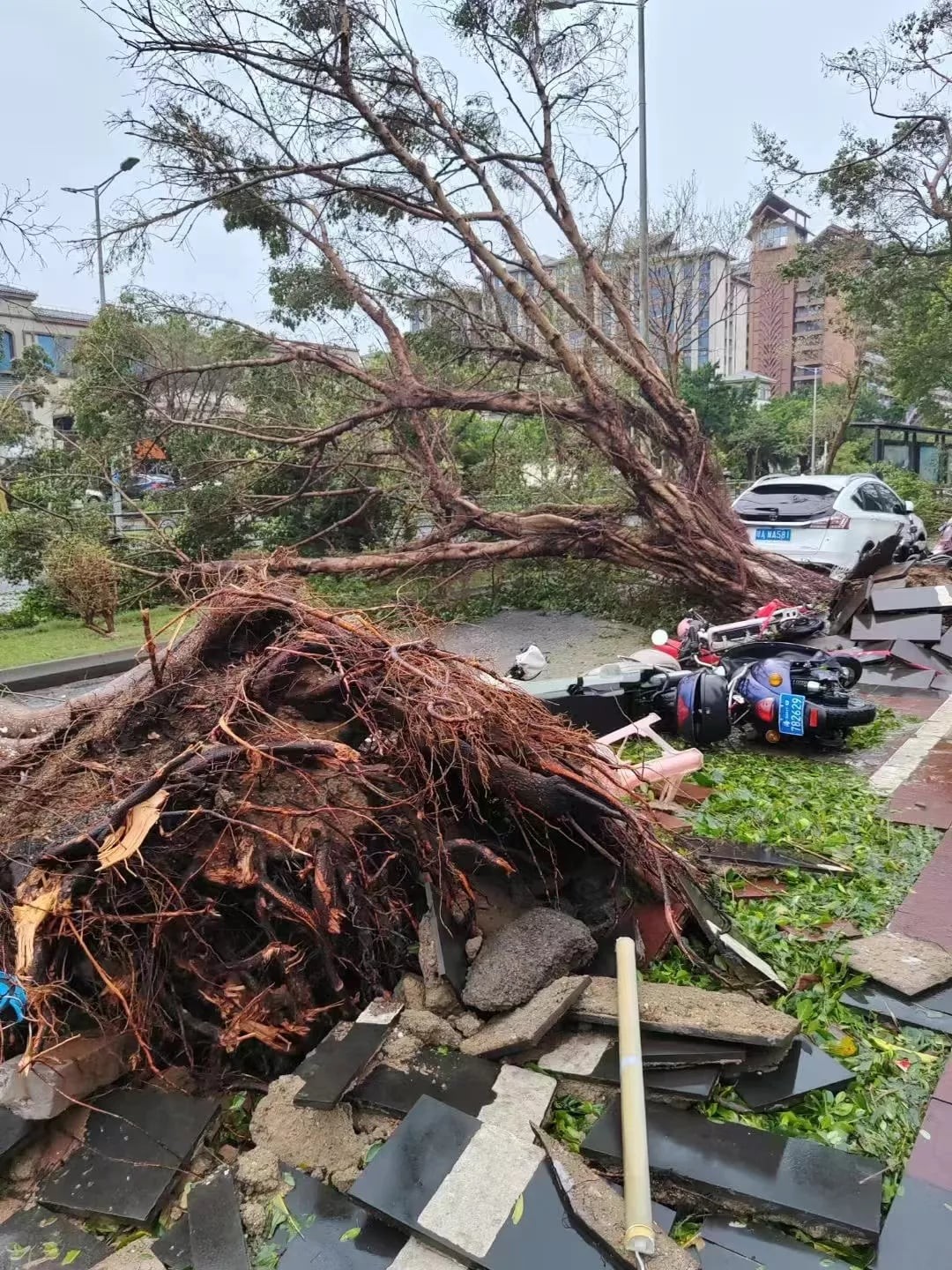 Đảo Cát Bà tan hoang, 4 ngày sau bão vẫn chưa có điện nước
